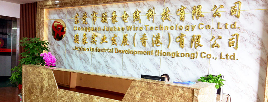 公司介绍