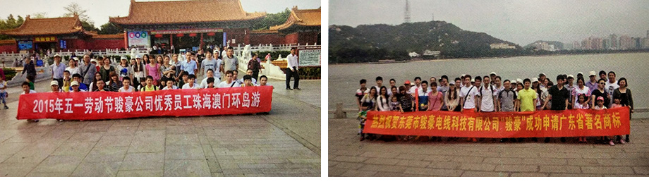 bv韦德团队