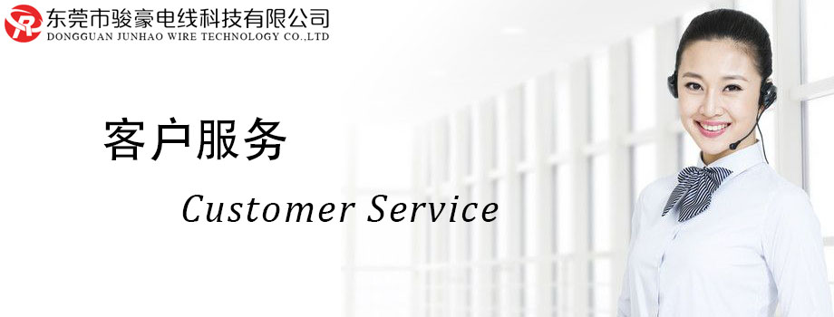 bv韦德电线客户服务中心
