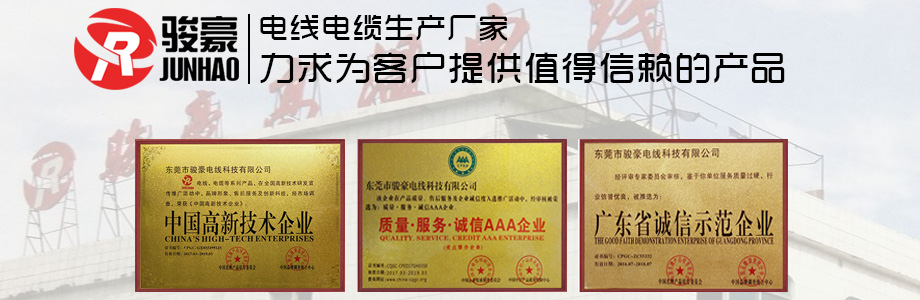 bv韦德电线荣誉证书展示