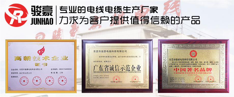 bv韦德电线荣誉